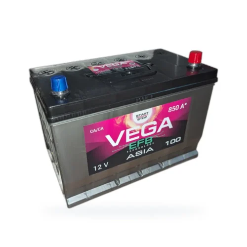 VEGA ASIA 6CT-100 пп