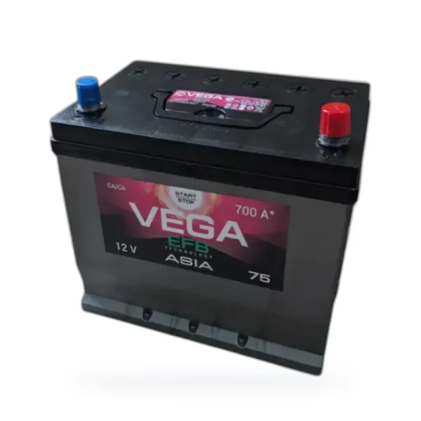 VEGA ASIA 6CT-75 пп