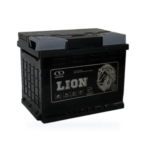 LION 6CT-60 пп