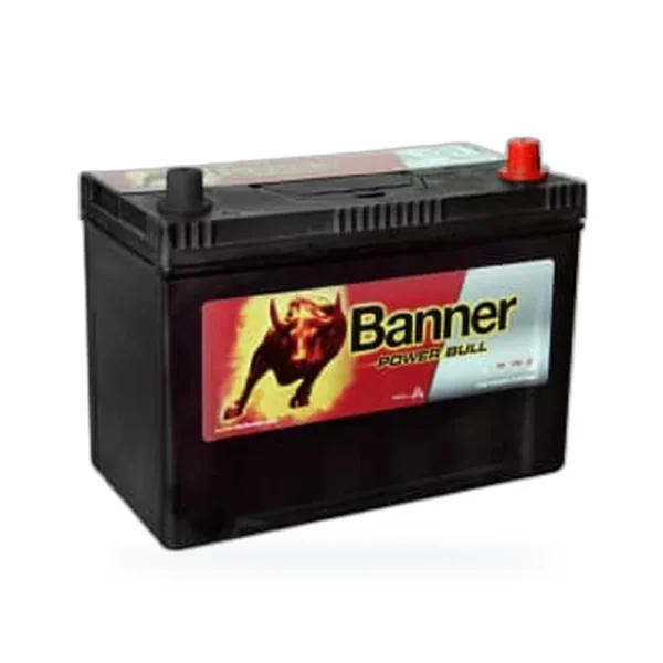 Banner Power Bull 95 А/ч о.п. ASIA (P9504)