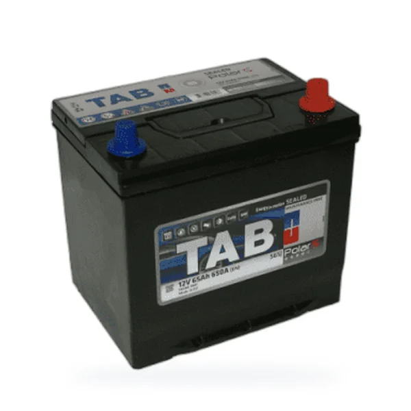TAB Polar Asia 6СТ-65 оп
