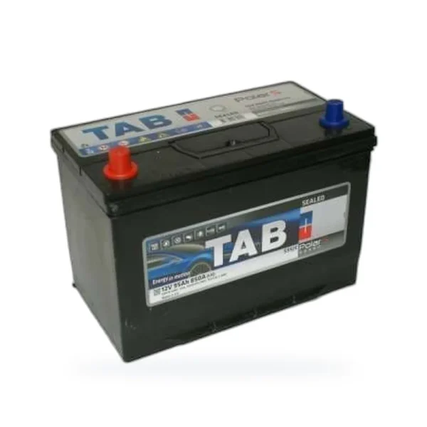 TAB Polar Asia 6СТ-95 пп